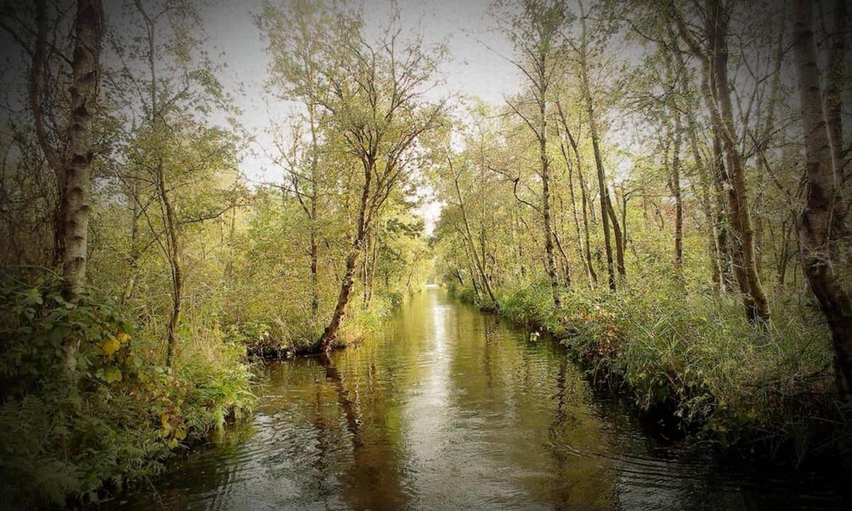 Blesdijke Natuur Lodge מראה חיצוני תמונה